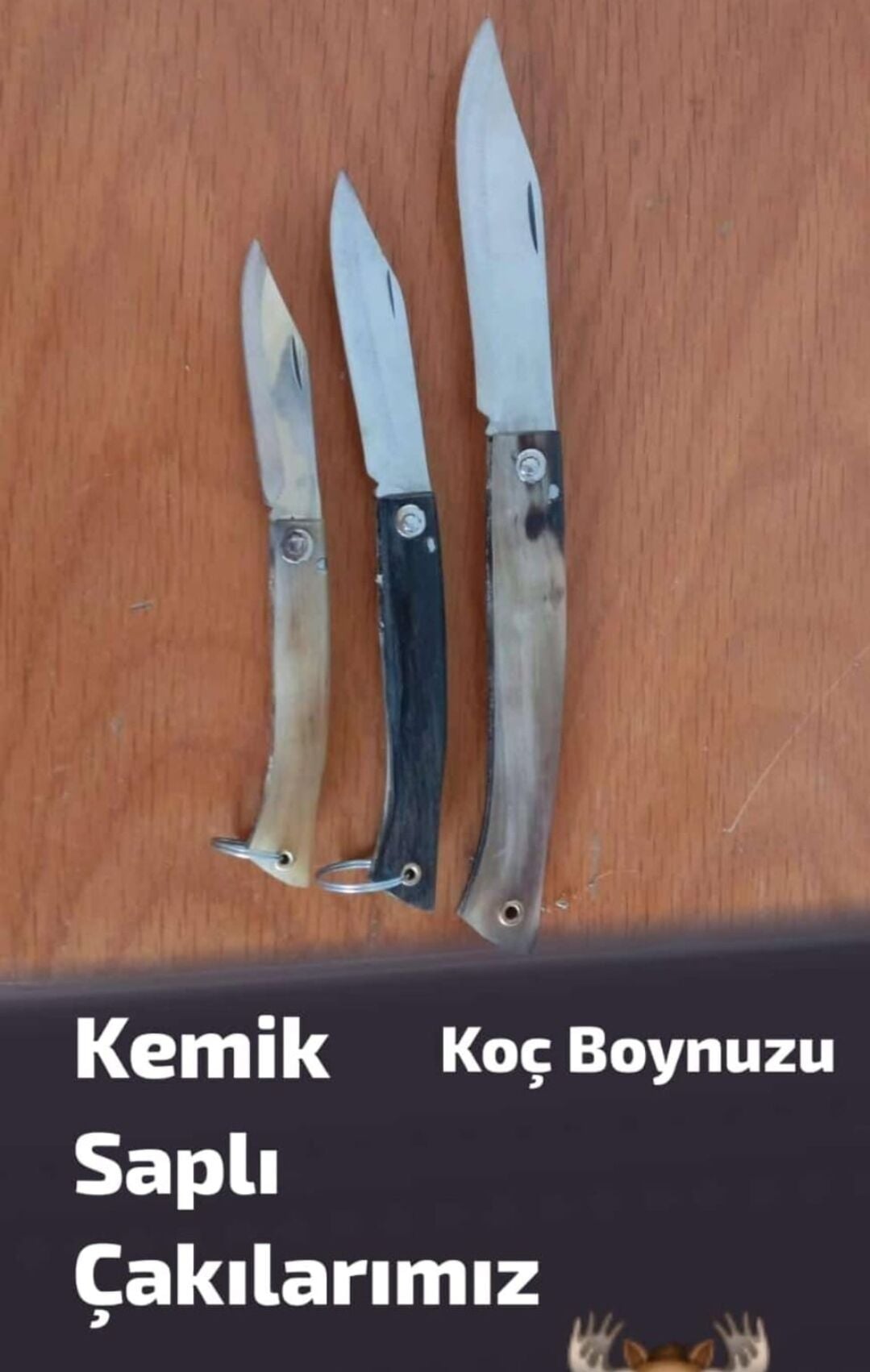 Koç Boynuzu Saplı Çelik Çakılarımız 3'lü Set