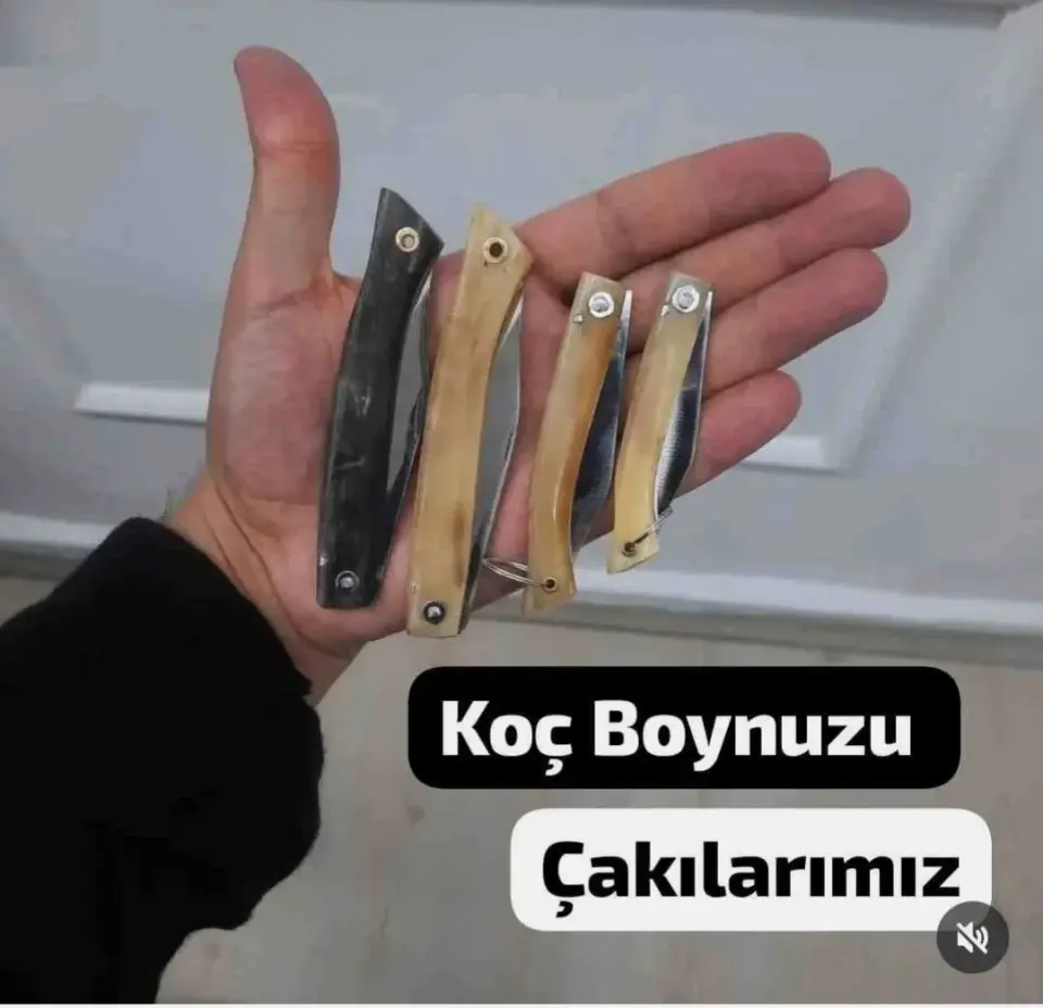 Koç Boynuzu Çelik Çakı 3'lü Set