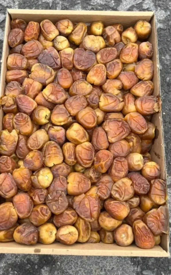 Medine Yaş Hurma (3 Kg Özel Kutu)